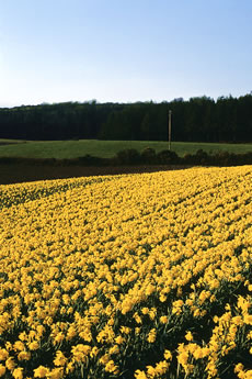 PB Kent & Co Port of Immingham